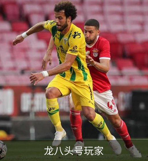 龙八头号玩家品牌故事